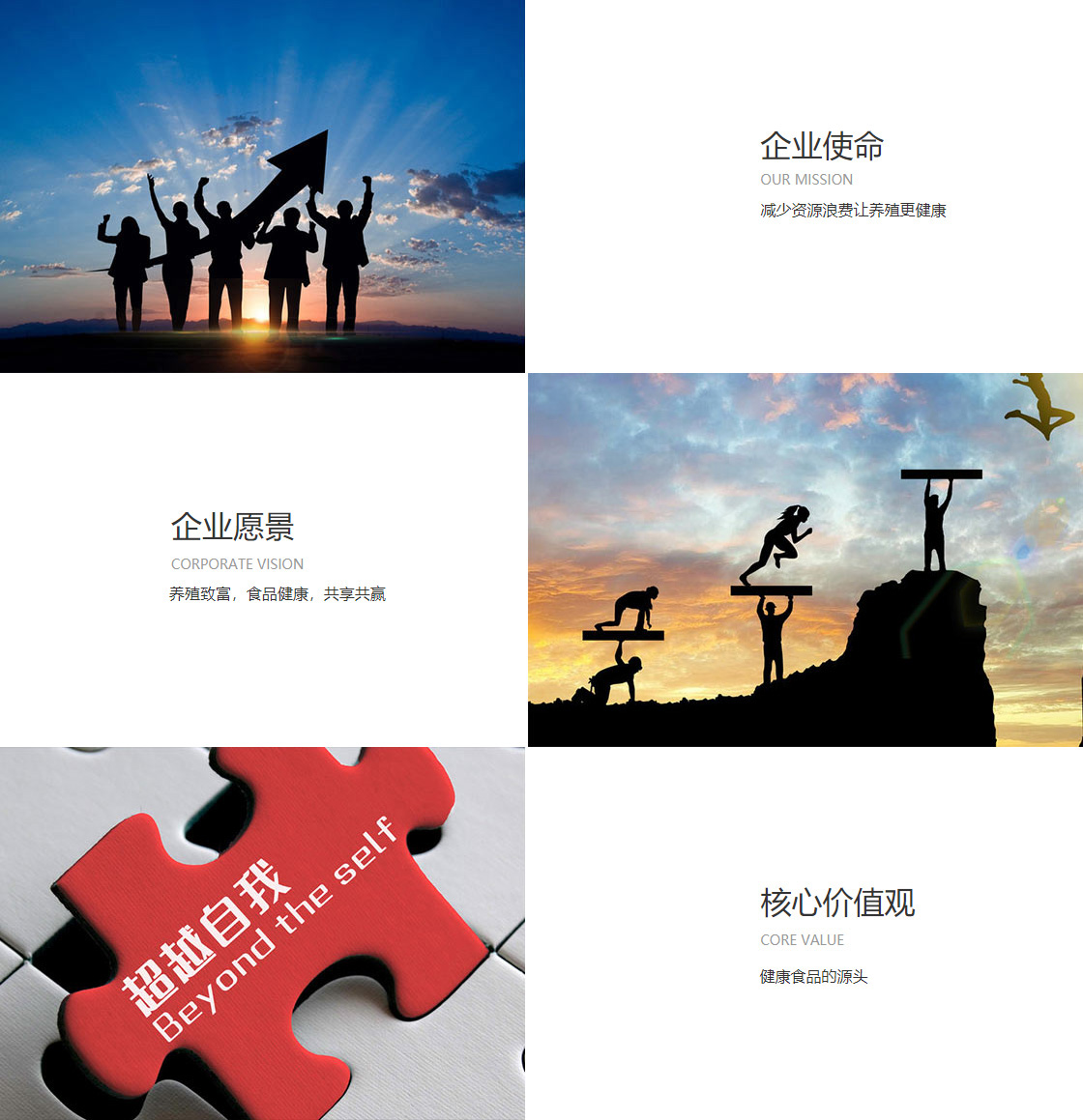 龙8龙国际long8龙8游戏官网(图1)